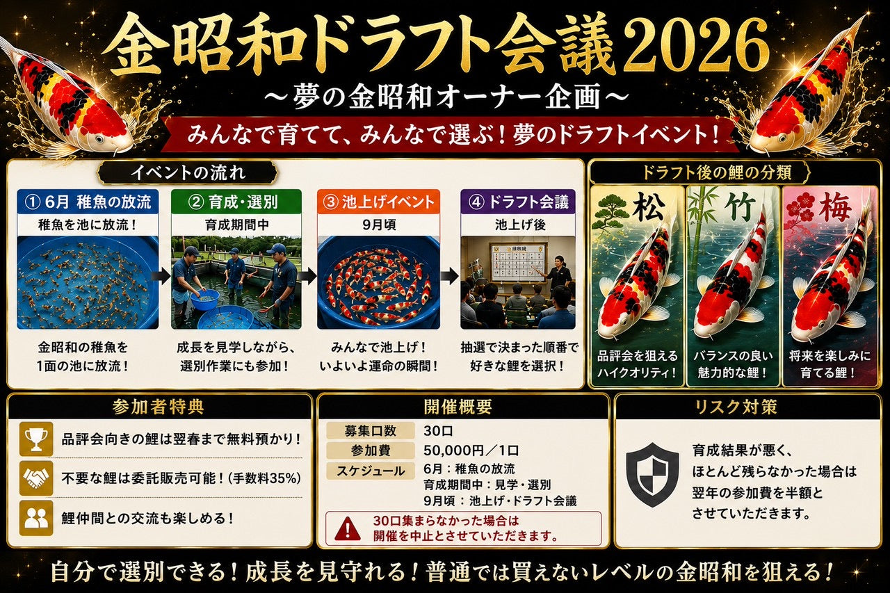 井上様専用 金昭和ドラフト会議参加費用