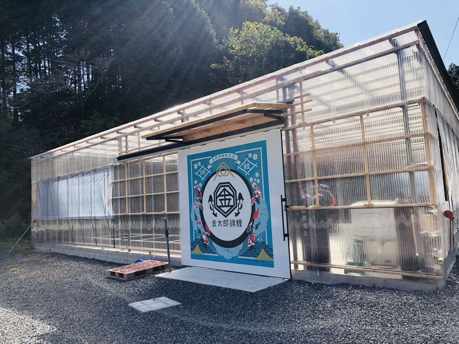 養鯉場について